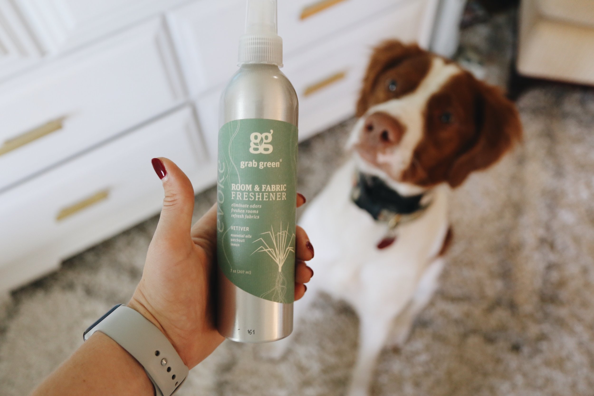  This room and fabric freshener...y'all! It has the sweetest smells, not overpowering at all but does a great job getting things fresh again without having to get carpet cleaners up in your home. Remi loves the smell, too! If you have pets, this is a